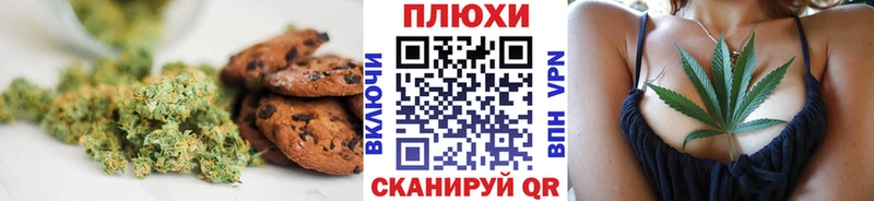 купить закладку  Псков  Cannafood марихуана 