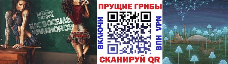 Псилоцибиновые грибы прущие грибы  KRAKEN зеркало  Псков 